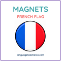 French Flag Magnets